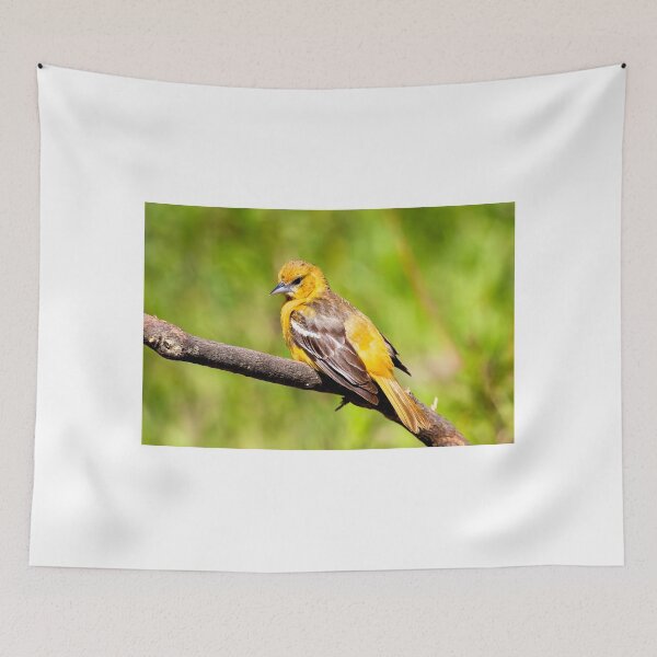 Item preview, Diva designed and sold by EugeJ.
