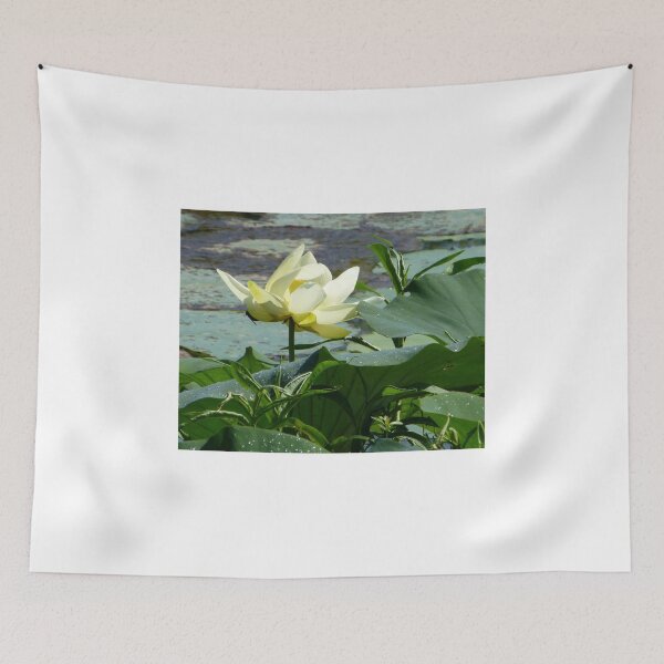 Item preview, Horsefly On The Hyacinth  designed and sold by WildestArt.