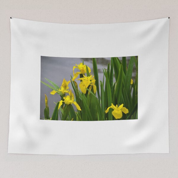 Item preview, Find The Damselfly among the Yellow Irises.. designed and sold by lynn carter.