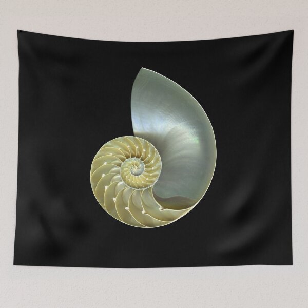Item preview, Nautilus A designed and sold by scankunst.