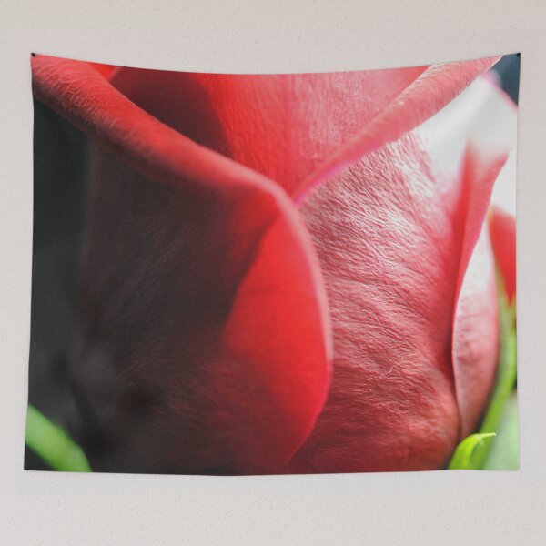 Item preview, Red Rose in Spotlight designed and sold by bloomingvine.