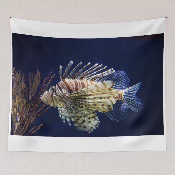 Item preview, Rockfish designed and sold by Bruce Alexander.