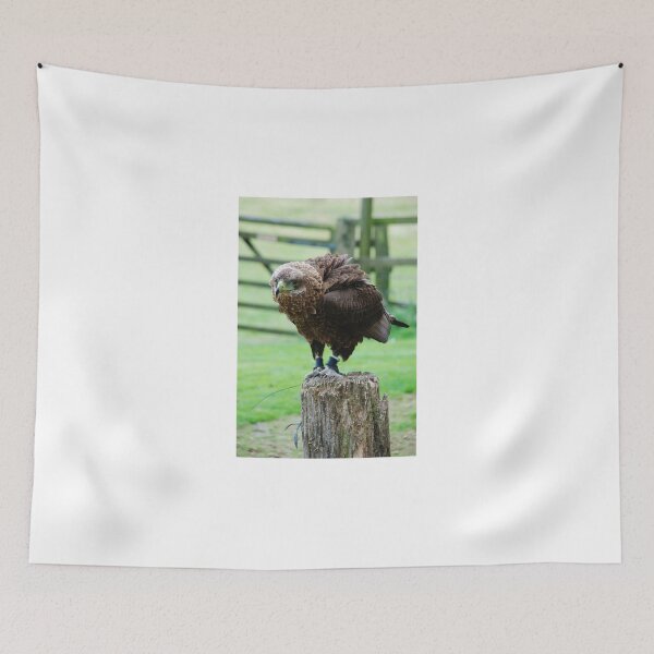 Item preview, Bateleur Eagle designed and sold by RichardGibb.