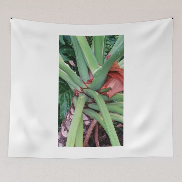 Item preview, Plant Fractals designed and sold by Scott Dovey.