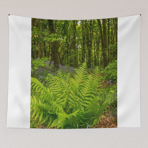 Item preview, Fern in Bluebell Wood designed and sold by Cameranick.