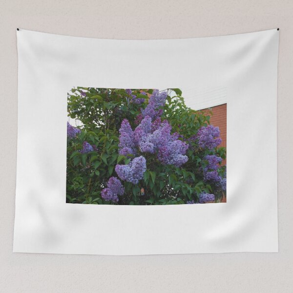 Aperçu de l'œuvre Purple Lilac Blossoms créée et vendue par SunriseRose.