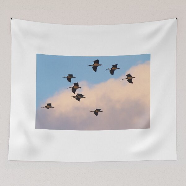 Aperçu de l'œuvre Dusk Ibis créée et vendue par byronbackyard.