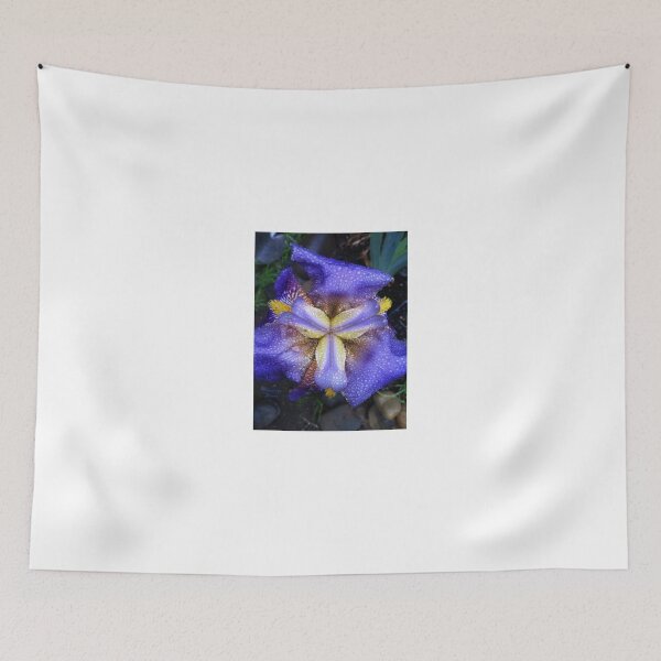 Item preview, Iris fresh with raindrops designed and sold by thirdeyeofnewt.