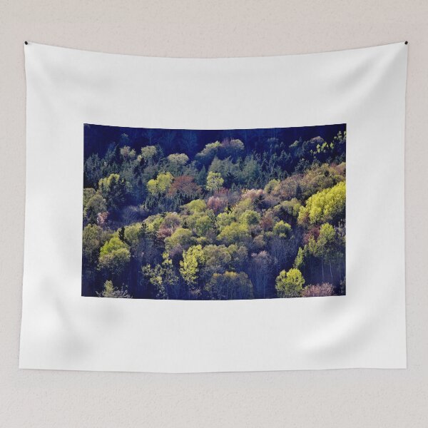 Item preview, Spring Illuminated in the Early Evening Light designed and sold by Kathleen Daley.