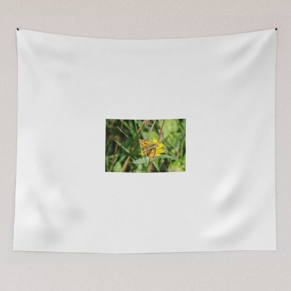 Item preview, 42914 orange butterfly designed and sold by pcfyi.