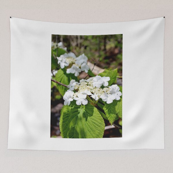Item preview, Hobblebush designed and sold by Kathleen Daley.