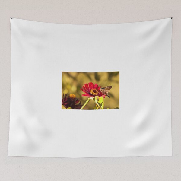 Item preview, Moth on Red Daisies designed and sold by AlixCollins.