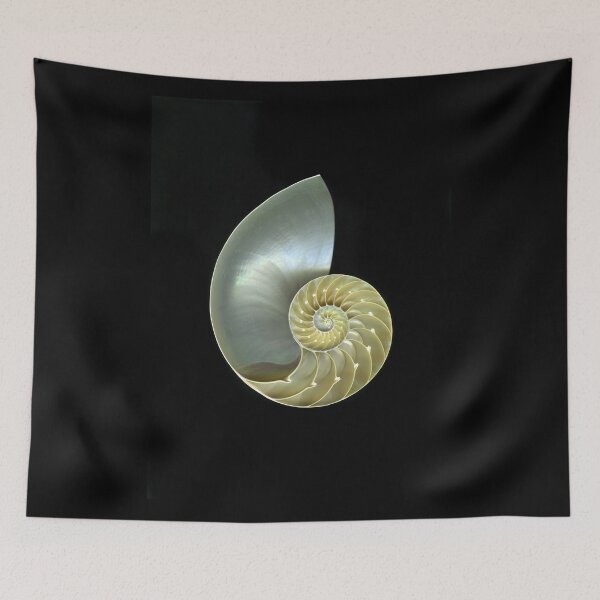 Item preview, Nautilus B designed and sold by scankunst.