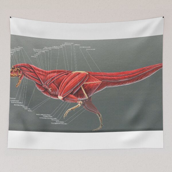 Item preview, Carnotaurus Muscle Study designed and sold by Thedragonofdoom.