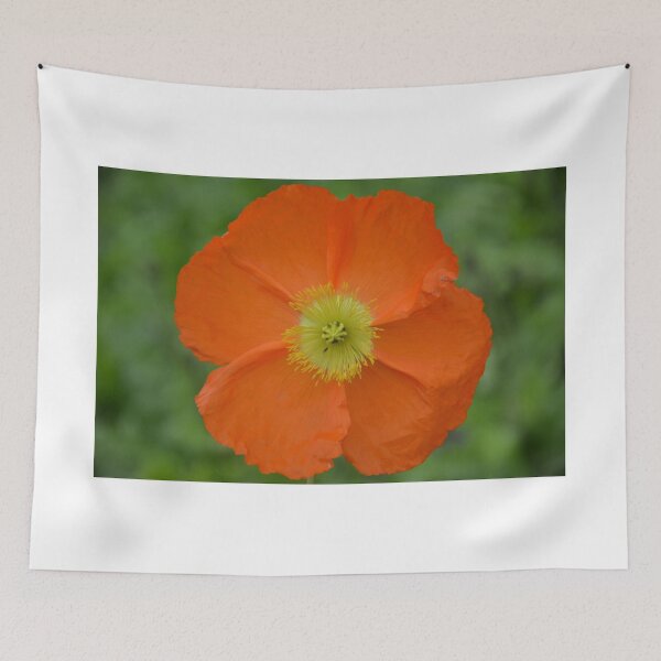 Item preview, ORANGE POPPY designed and sold by kazaroodie.