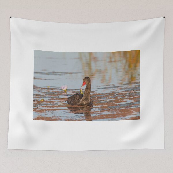 Item preview, Sunset Cygnet designed and sold by byronbackyard.