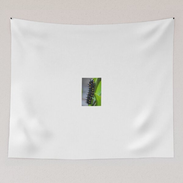 Item preview, Hungry caterpillar designed and sold by shaynetwright.
