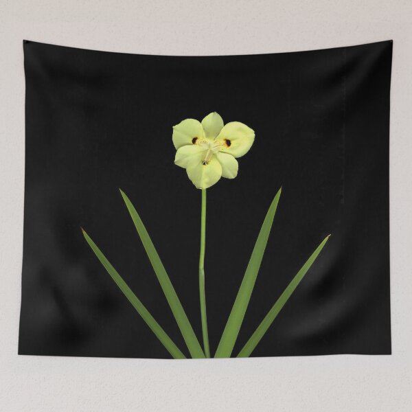 Item preview, Solitude designed and sold by scankunst.