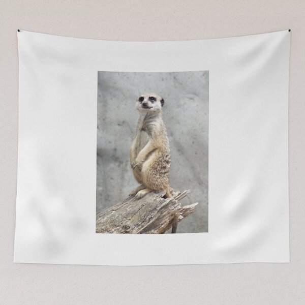 Item preview, Mr. Meerkat - Is this side my best side? designed and sold by mosgol.