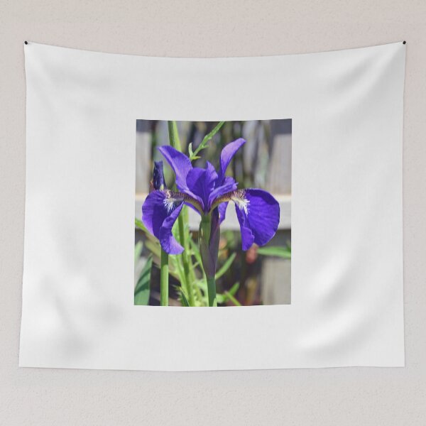 Item preview, Beautiful Blue Iris........ designed and sold by lynn carter.