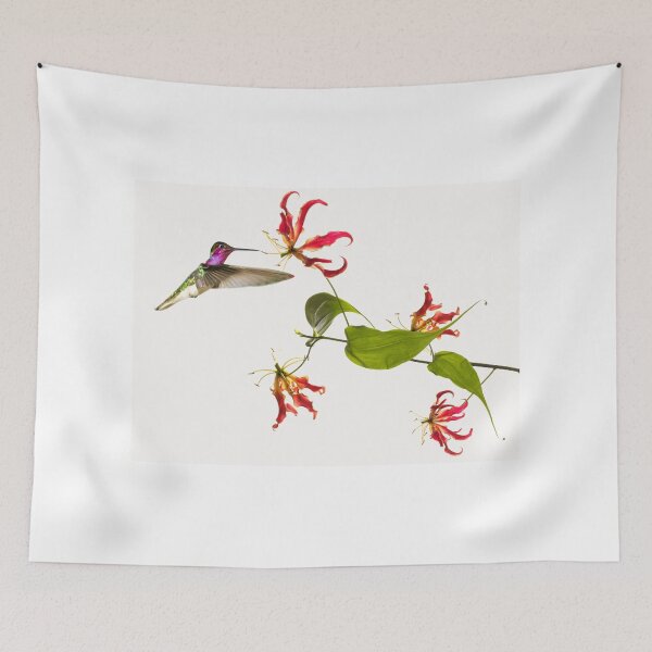 Aperçu de l'œuvre Colibri sur fleur de lis tropical créée et vendue par Bruno Beach.