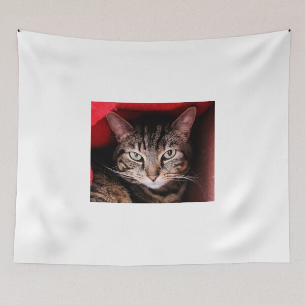 Item preview, Nala designed and sold by Ladymoose.