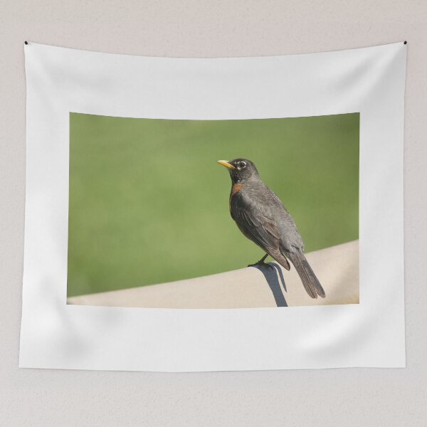 Item preview, Robin Of Raymore designed and sold by EugeJ.