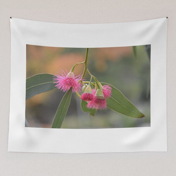 Item preview, FLOWERING GUM designed and sold by kazaroodie.