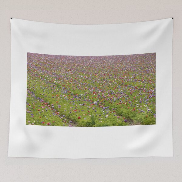Item preview, fields of colors designed and sold by DCarlier.