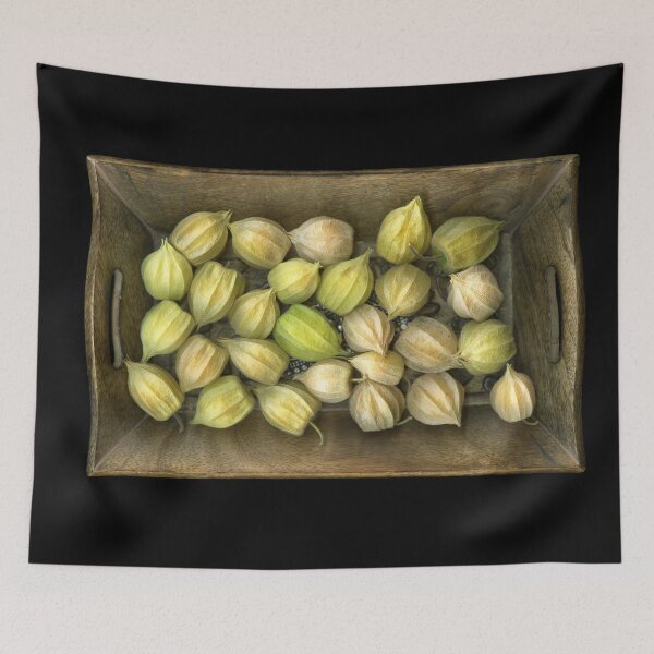 Item preview, Physalis designed and sold by scankunst.