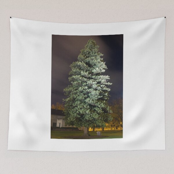 Item preview, Pine tree evening designed and sold by shaynetwright.