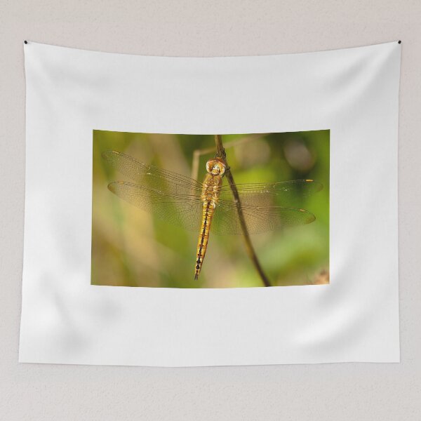 Item preview, Hanging Tough designed and sold by EugeJ.