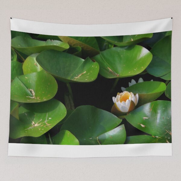 Item preview, Bashful Beauty designed and sold by Claude Johnson.