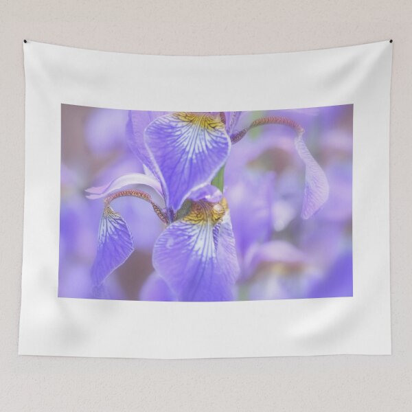 Item preview, Iris designed and sold by Laurie Minor.