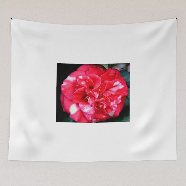 Item preview, PINK AND WHITE CAMELIA designed and sold by kazaroodie.