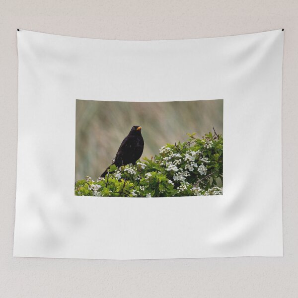 Item preview, Blackbird on May Blossom designed and sold by Violaman.