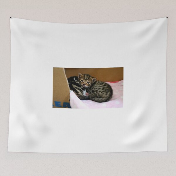 Item preview, Clive designed and sold by Ladymoose.