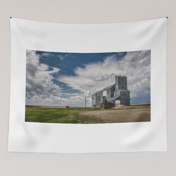 Item preview, Grain elevator near Fresno, Montana designed and sold by BearPaw123.