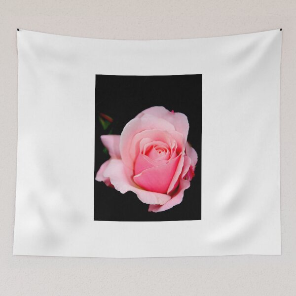 Item preview, Pink Rose designed and sold by vbk70.