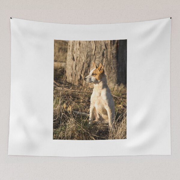 Item preview, Sitting Proud..... designed and sold by mitpjenkeating.