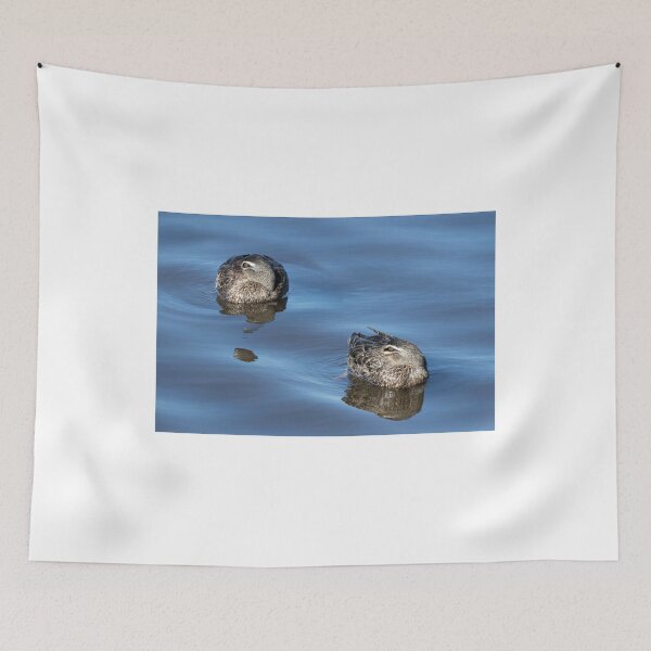 Item preview, Pacific Black Ducks Resting designed and sold by Sandra Chung.