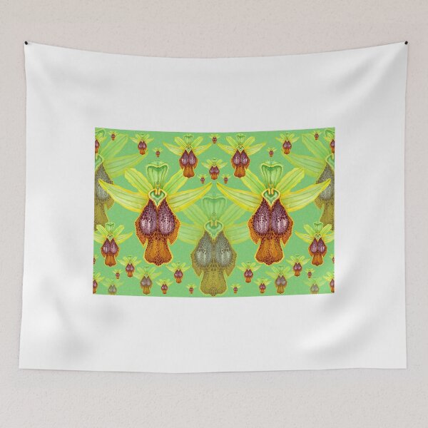 Item preview, Ophrys parosica designed and sold by joancaronil.