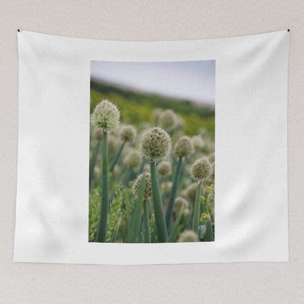 Item preview, Onion Seed designed and sold by vbk70.