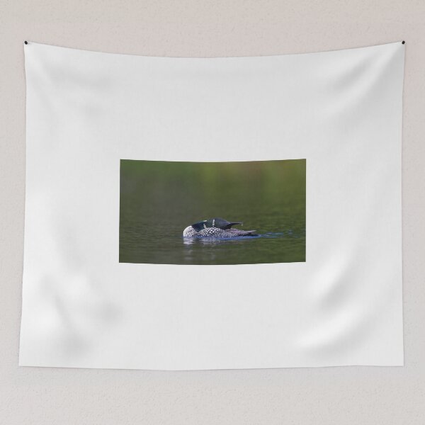Item preview, Common loon stretch designed and sold by James Cumming.