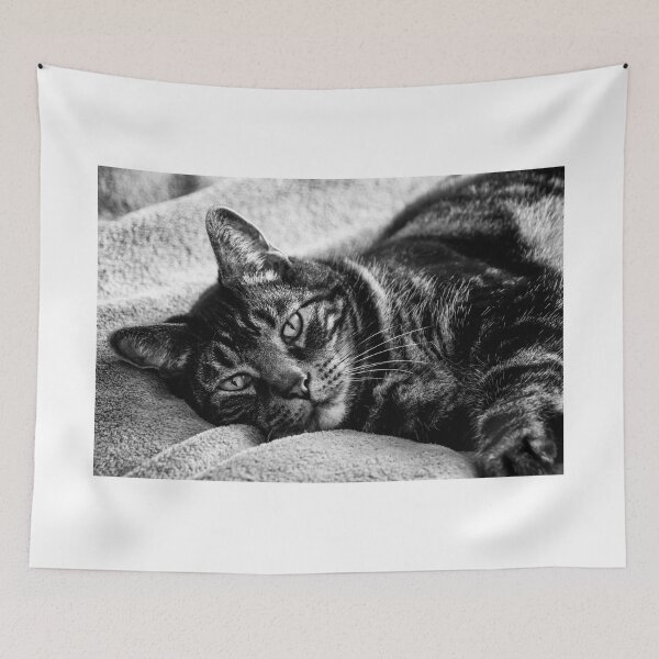 Item preview, Jack designed and sold by JoeGeraci.