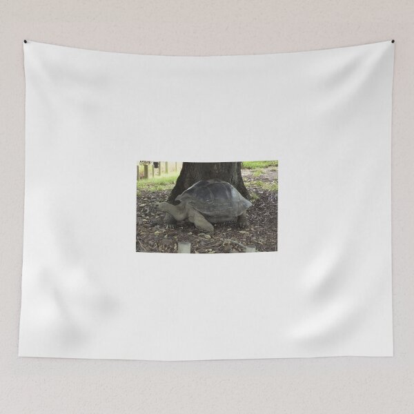 Item preview, Giant Galpagos Tortoise designed and sold by mosgol.