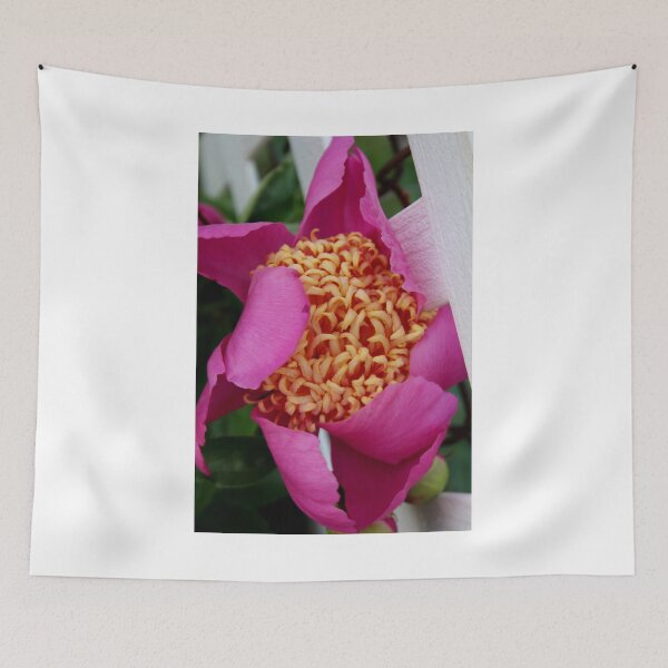 Item preview, Pink Peony IMG_7290 designed and sold by KarenDinan.