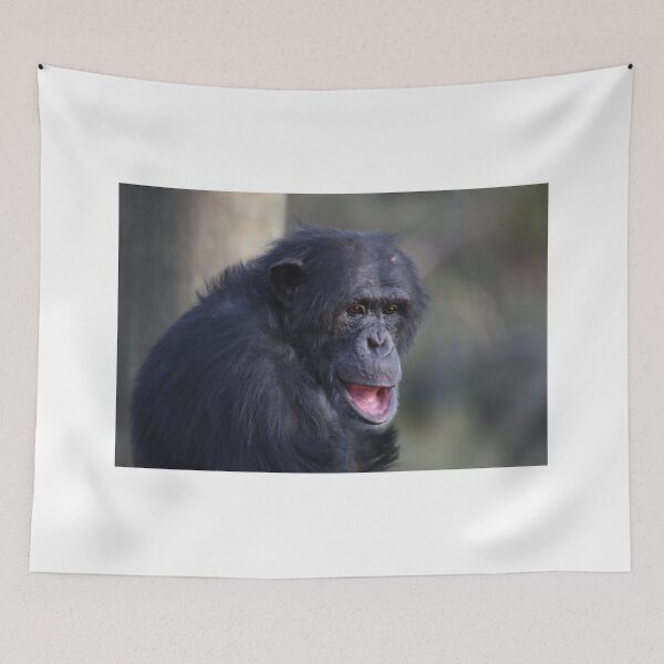 Item preview, Humoured Chimp designed and sold by Stuart Daddow Photography.