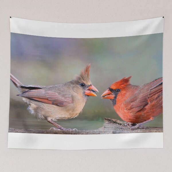Item preview, Cardinal Mates for Life designed and sold by Bonnie T.  Barry.