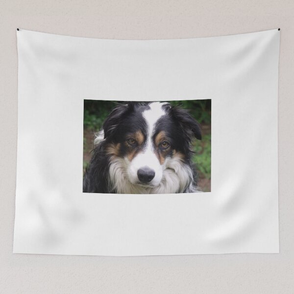 Item preview, Devotion. designed and sold by Michael Haslam.